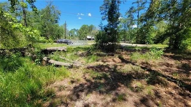 Lots & Land-Other in Holden - Holden, Louisiana, 70744