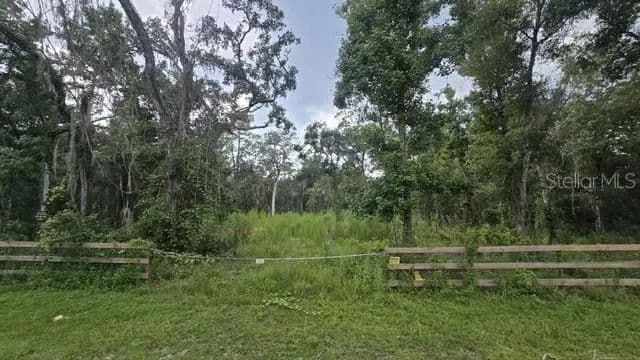 1.14 Acres of Land for Sale in WEBSTER, FL - Webster, Florida, 33597
