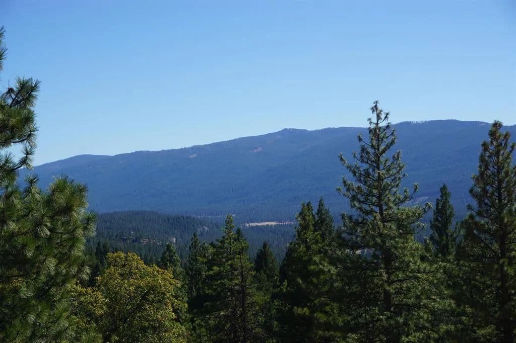 Vacant Land (10+ Acres) in Blairsden - Blairsden, California, 96103
