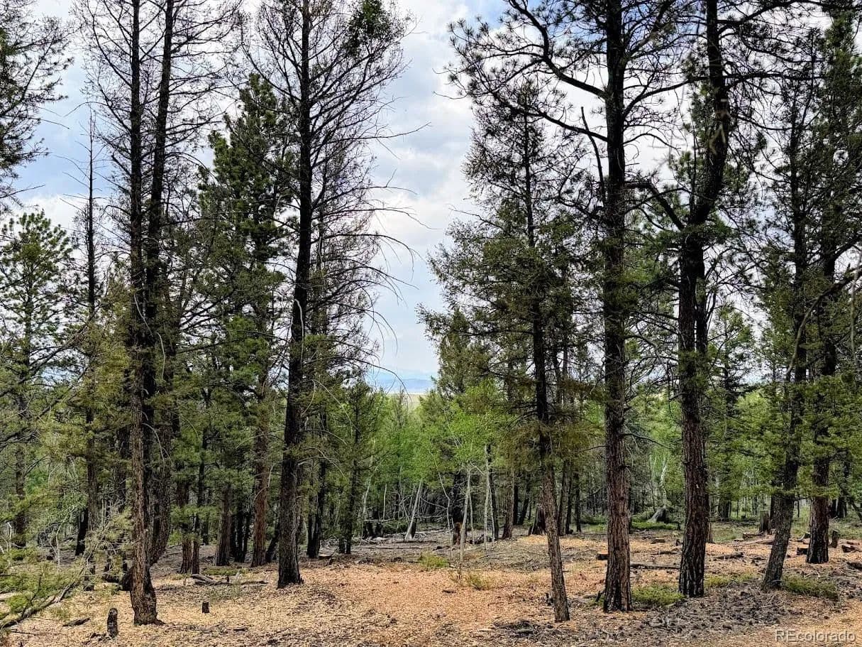 3.15 Acres of Land for Sale in Hartsel, CO - Hartsel, Colorado, 80449