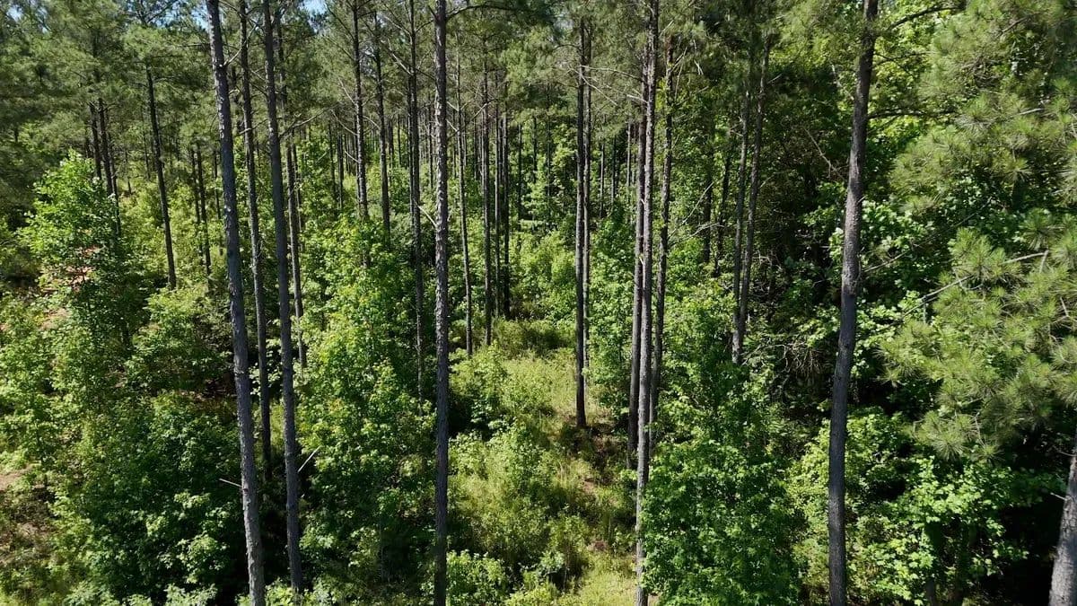 The Horton Tract - Clinton, South Carolina, 29325