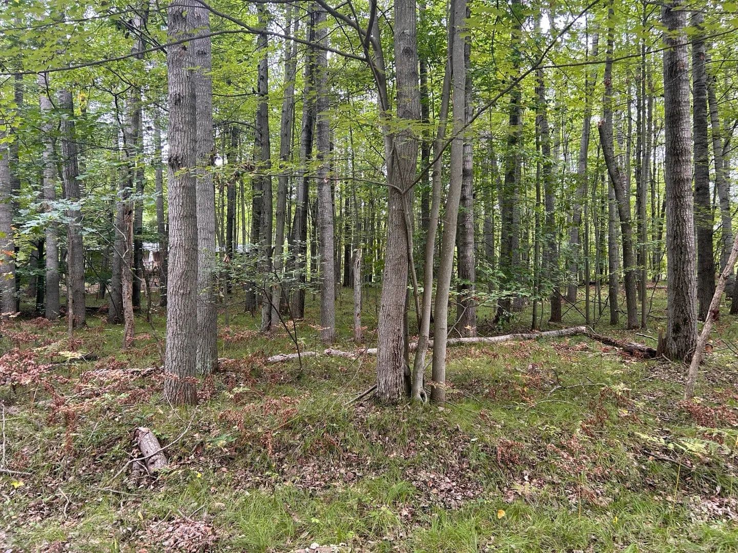Lots & Land-Other in Stanwood - Stanwood, Michigan, 49346