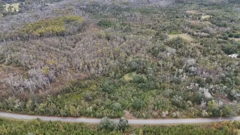 Hunter’s Paradise — 13 Acres of Prime North Florida Land in Madison, FL