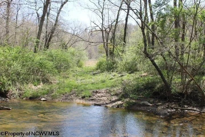 Lots & Land-Other in Beverly - Beverly, West Virginia, 26253
