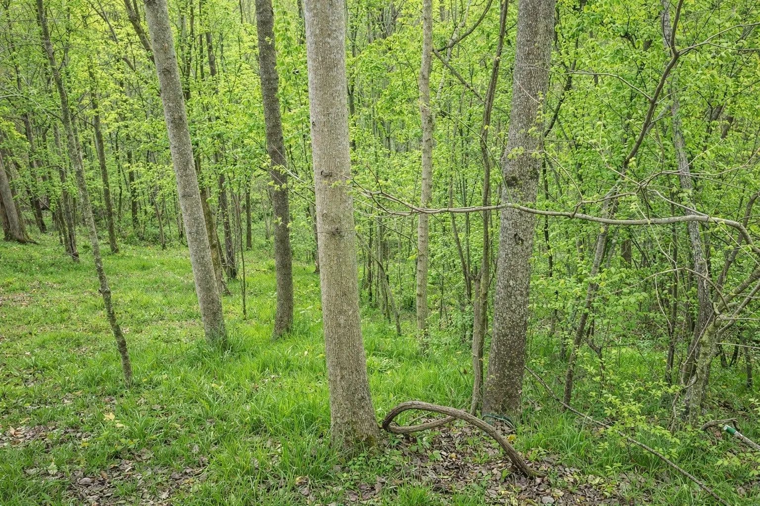 Lots & Land-Other in Smithville - Smithville, Tennessee, 37166