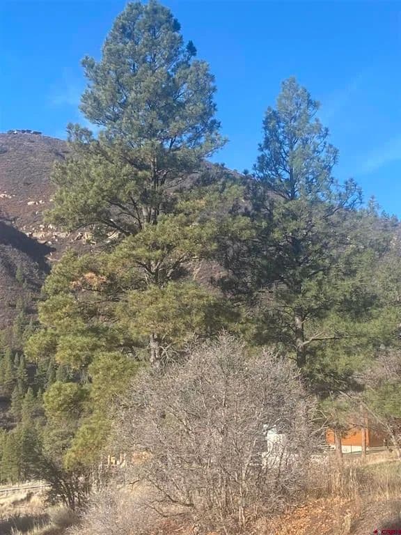 Property from 57 Wild Iris - KW