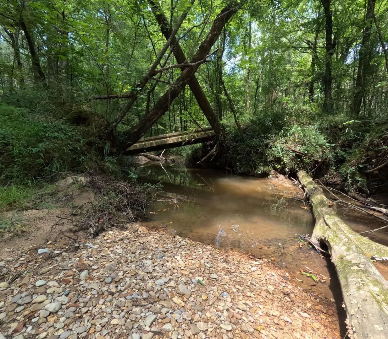 154± Acres on Highway 28 – Premier Copiah County Hunting & Timberland - Union Church, Mississippi, 39668