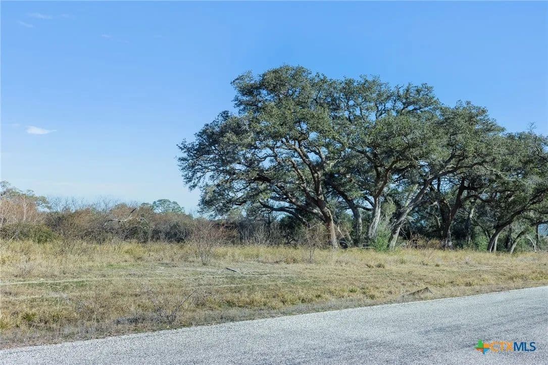 Vacant Land in Inez - Inez, Texas, 77968