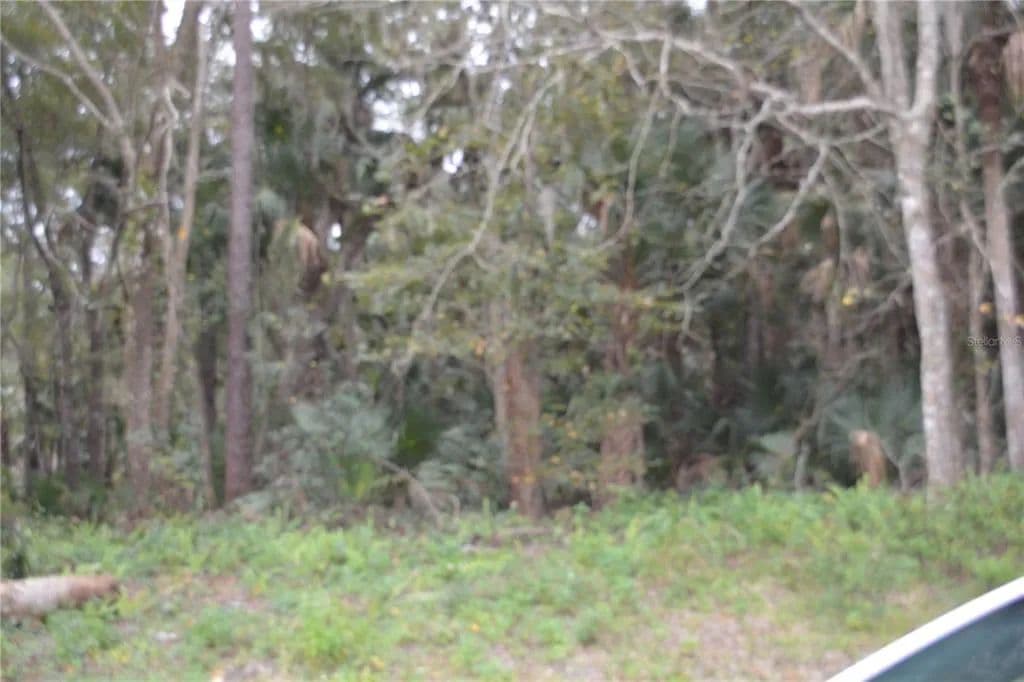 Vacant Land in Sanford - Sanford, Florida, 32771
