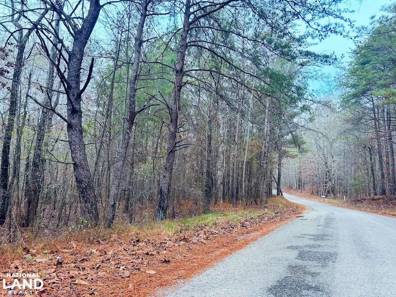 Hopeful Area Lot 2 - Munford, Alabama, 36268
