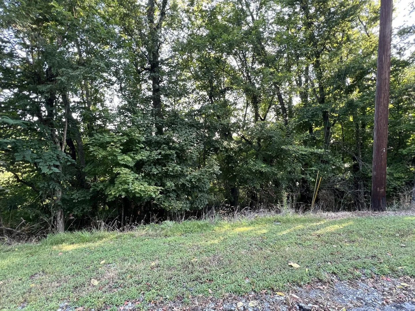 Land -Single Family Acreage in Clarksville - Clarksville, Tennessee, 37043