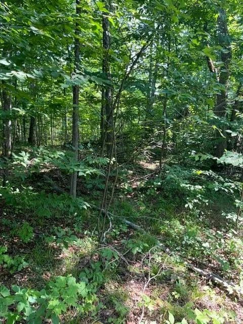 Lots & Land-Other in Frederic - Frederic, Michigan, 49733