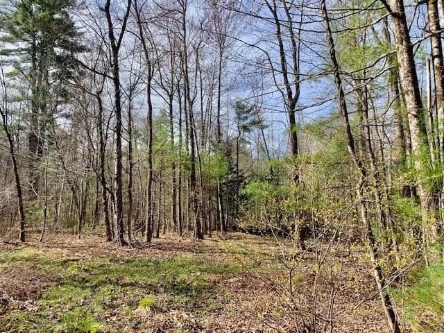 Vacant Land in Townsend