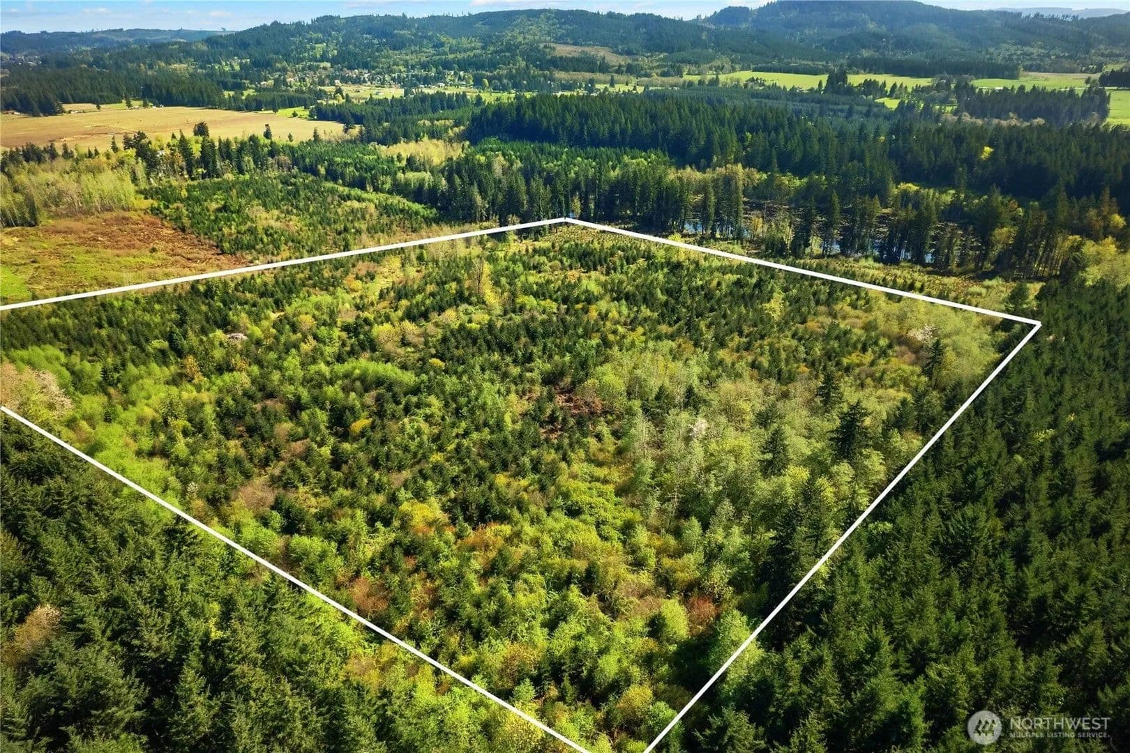 Lots & Land-Other in Tenino - Tenino, Washington, 98589