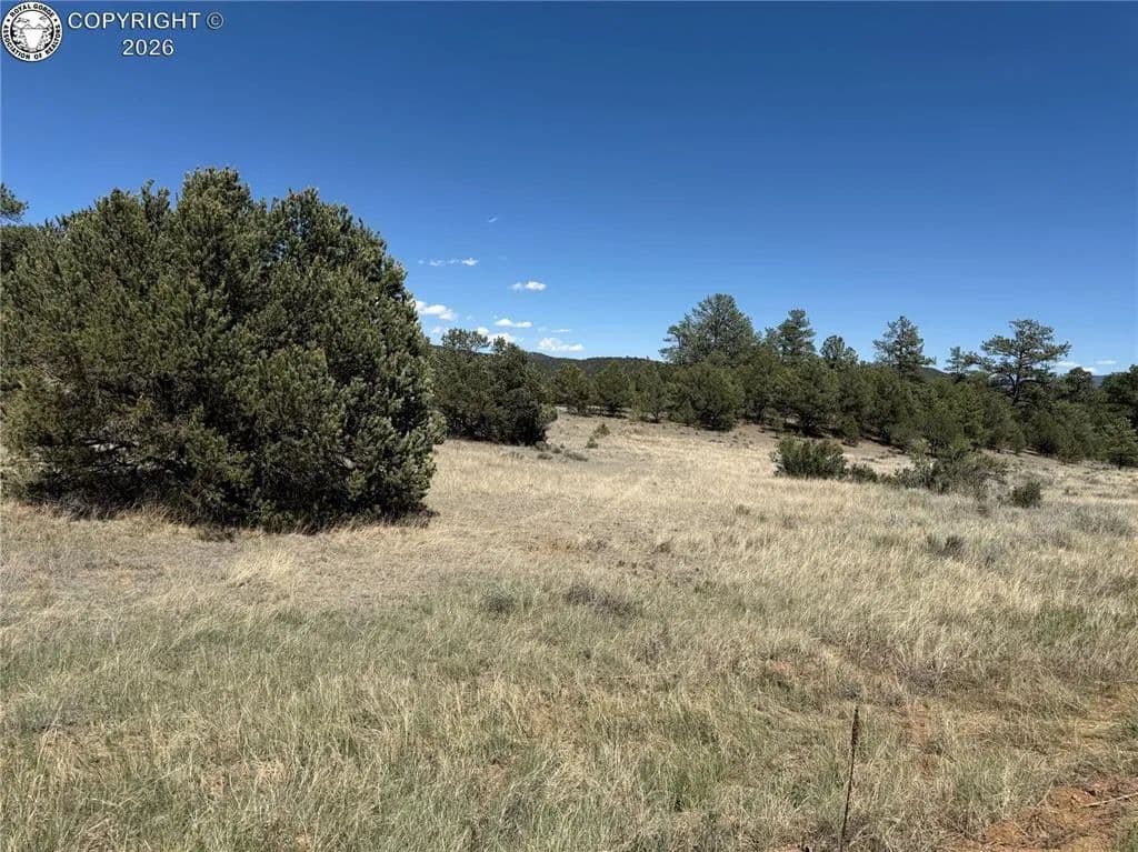 5.2 Acres of Land for Sale in Cotopaxi, CO - Cotopaxi, Colorado, 81223