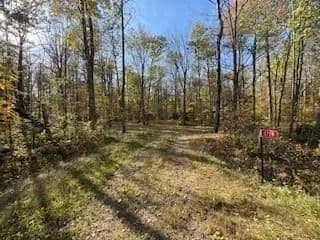 Vacant Land in Birchwood