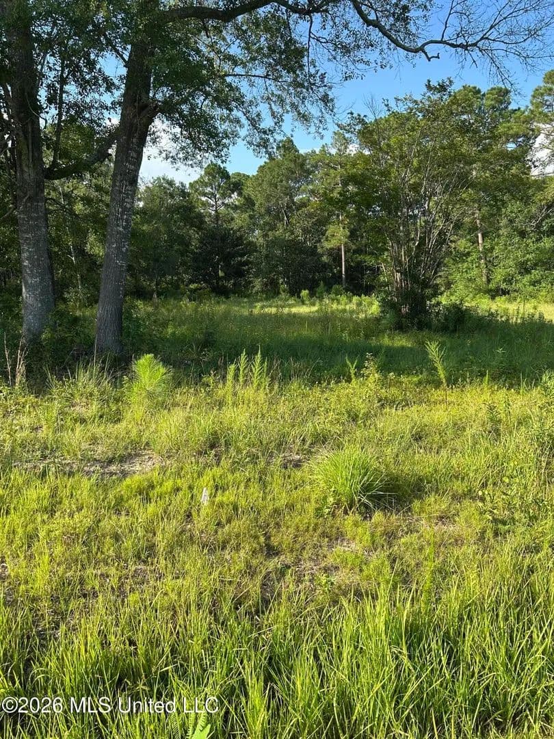 Vacant Land in Biloxi - Biloxi, Mississippi, 39532