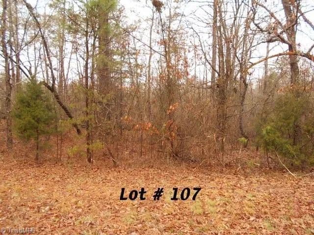 Vacant Land in Eden - Eden, North Carolina, 27288
