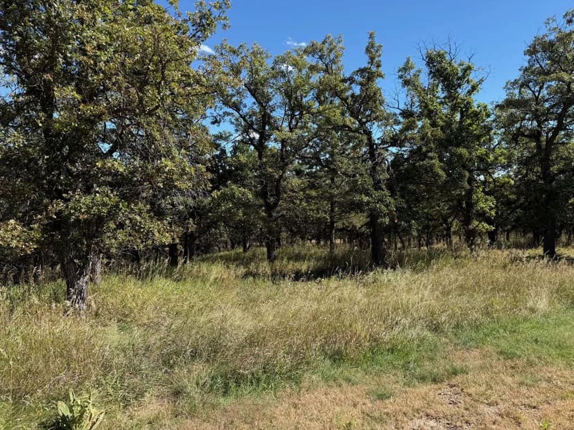 Land -Single Family Acreage in Spearfish