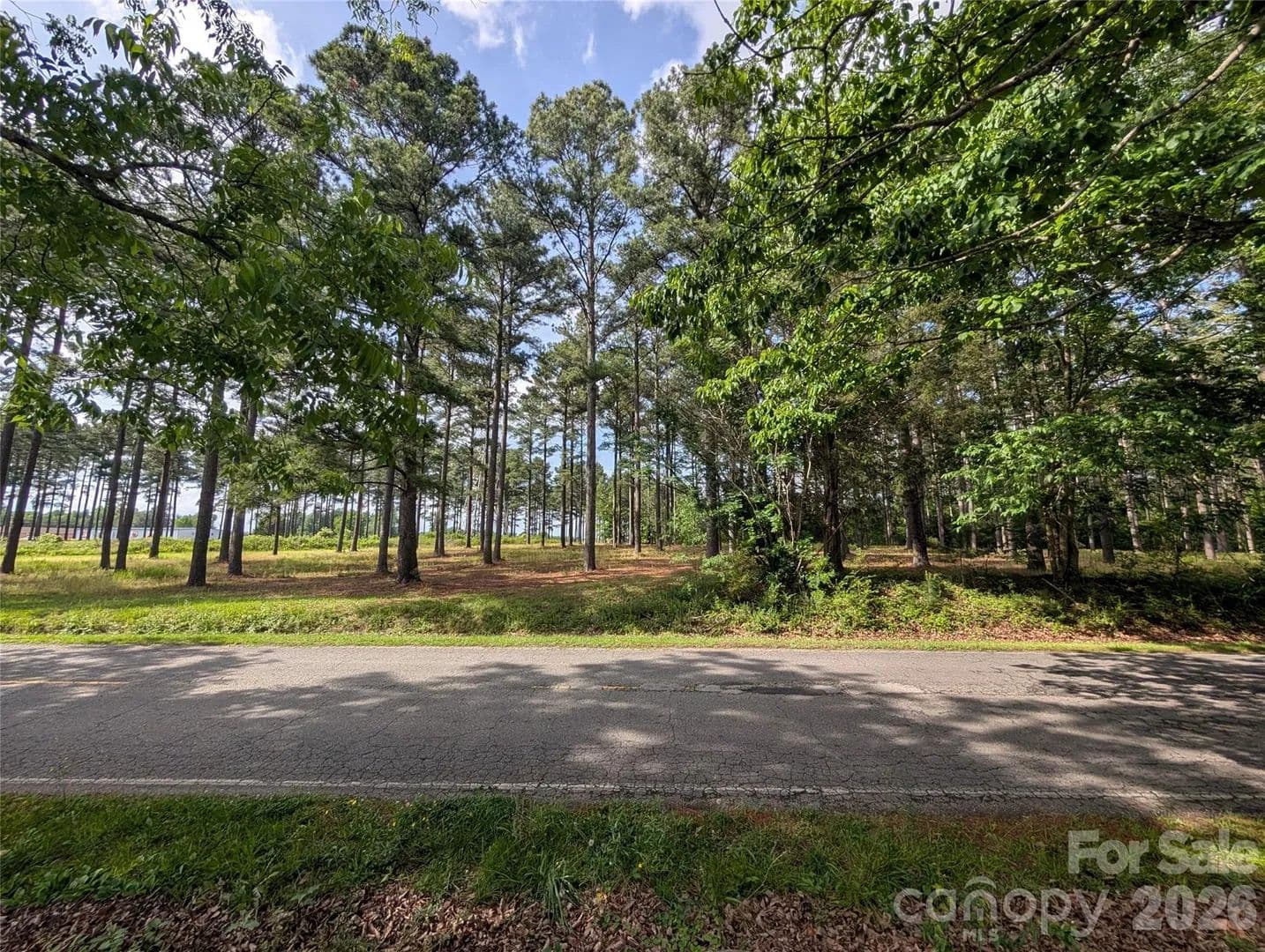 Property from 0000 Blessed Hope Road #Tract 2 - KW - York, South Carolina, 29745