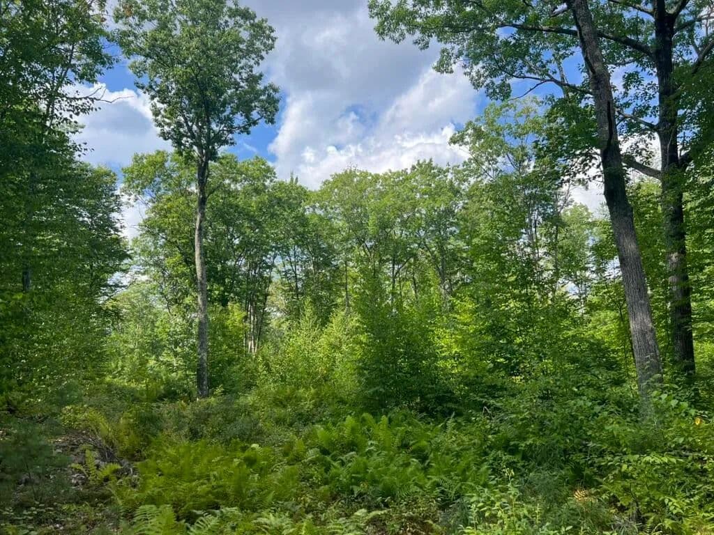 Vacant Land in Lyman - Lyman, Maine, 04002