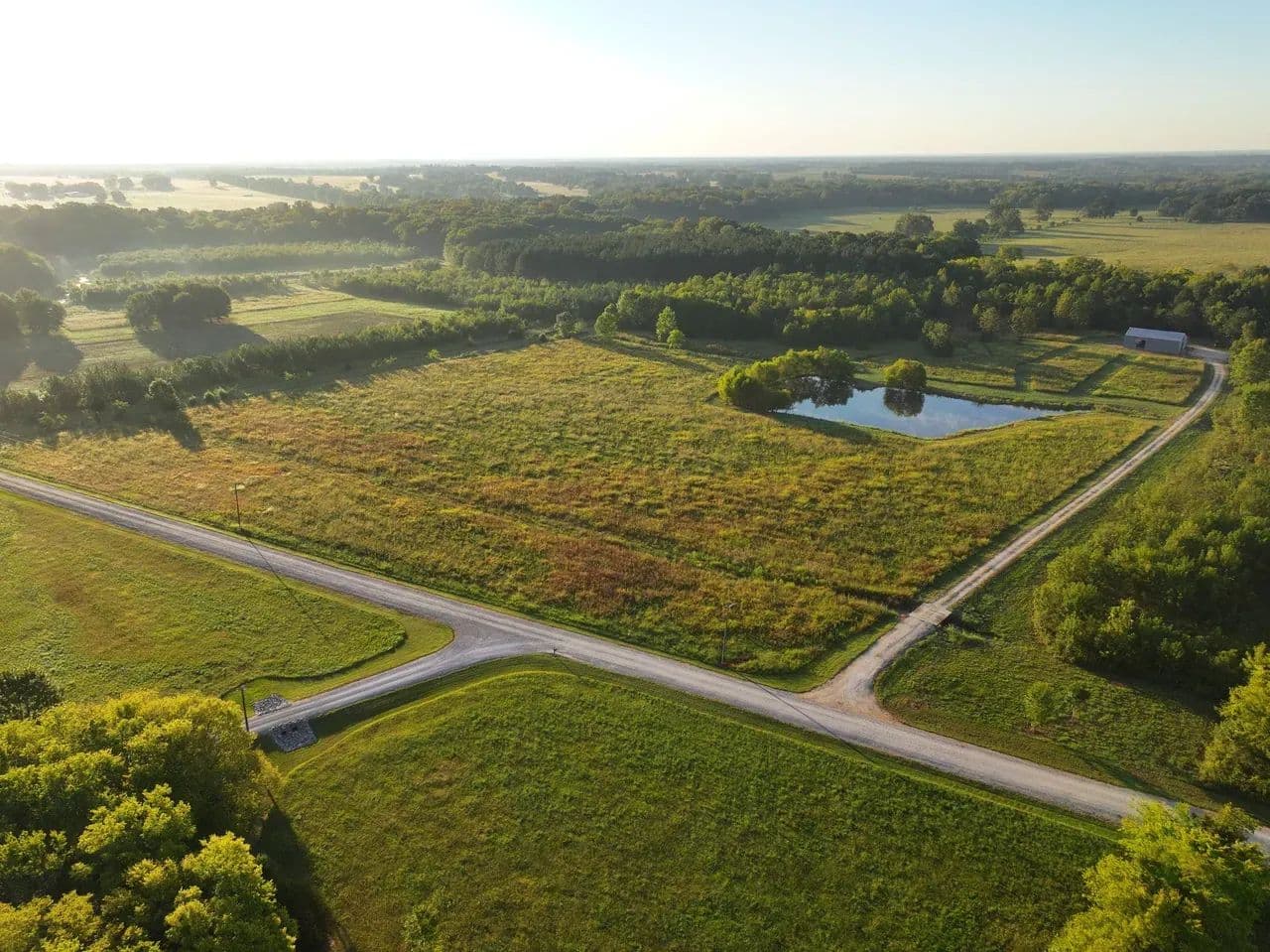 55 acres on Dani Lane in Mathews - Mathews, Alabama, 36052