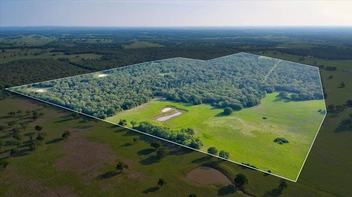 Vacant Land in Thrall - Thrall, Texas, 76578