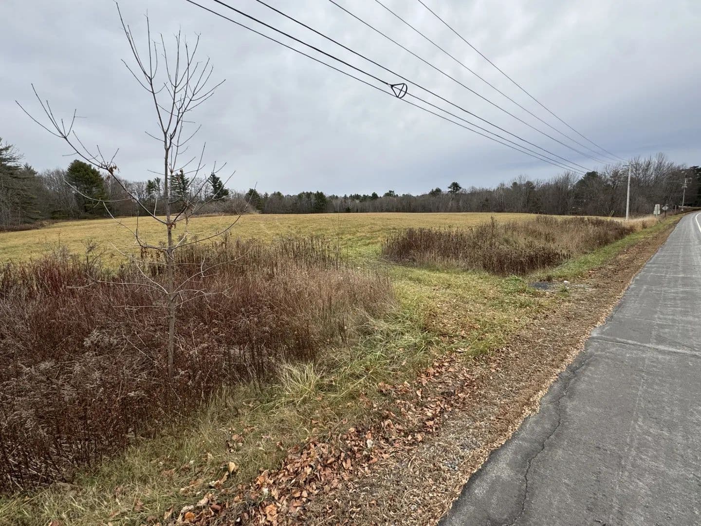 Vacant Land (10+ Acres) in Unity - Unity, Maine, 04988
