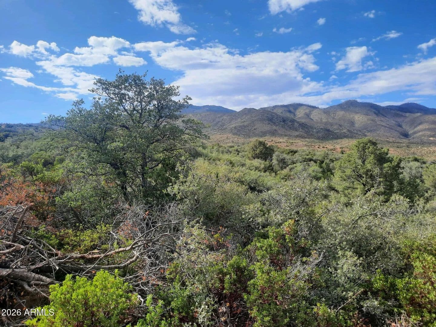 10.05 Acres of Land for Sale in Globe, Arizona - Globe, Arizona, 85501