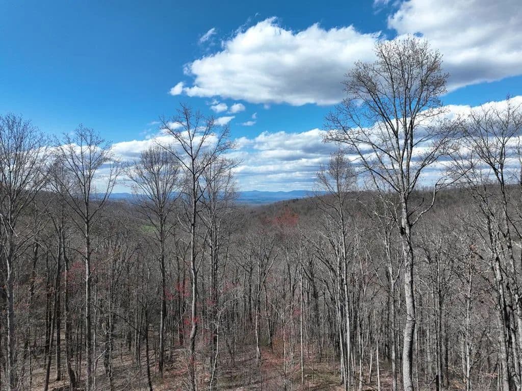 3.67 Acres of Land for Sale in Ellijay, GA - Ellijay, Georgia, 30536