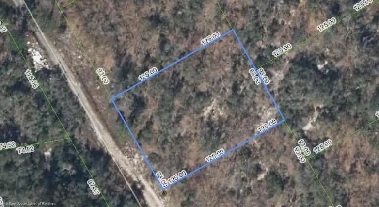 Lots & Land-Other in Lake Placid - Lake Placid, Florida, 33852