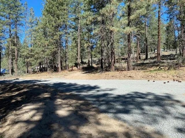 Vacant Land in Portola - Portola, California, 96122