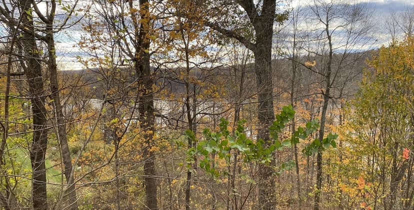 Vacant Land in New Milford