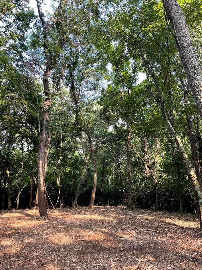 Property from 4091 Akin Lane - KW