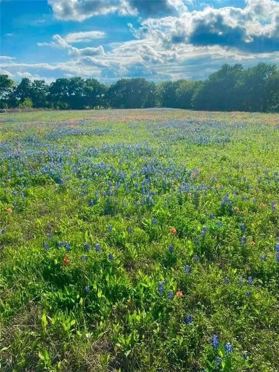 Vacant Land in Axtell - Axtell, Texas, 76624