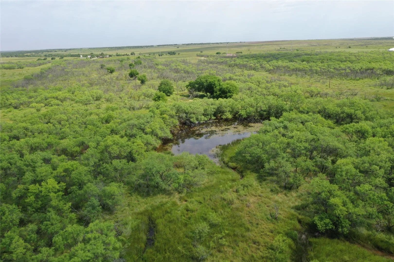 Lots & Land-Other in Bellevue - Bellevue, Texas, 76228