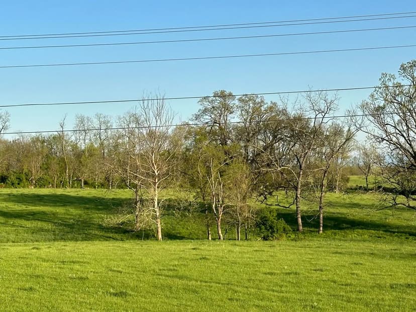 Property from 3569 Cynthiana Road - KW