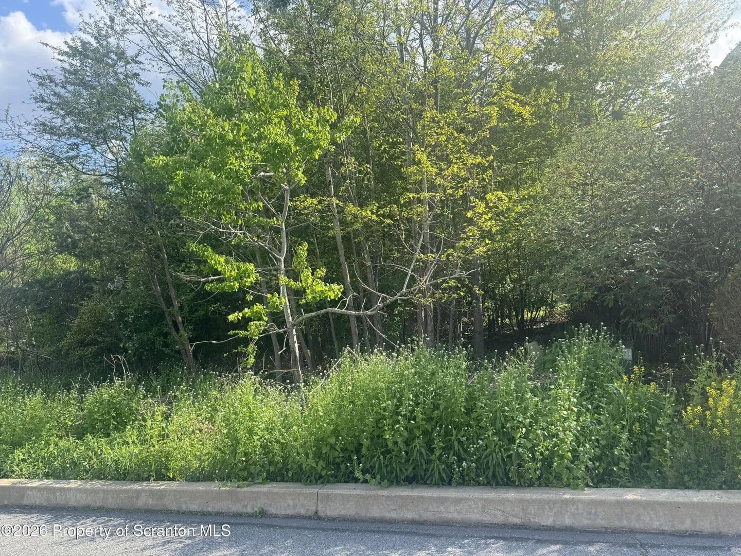 Lots & Land-Other in South Abington Twp - Pennsylvania, 18411