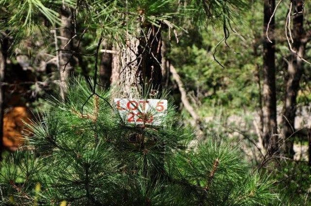 Land -Single Family Acreage in Ruidoso - Ruidoso, New Mexico, 88345