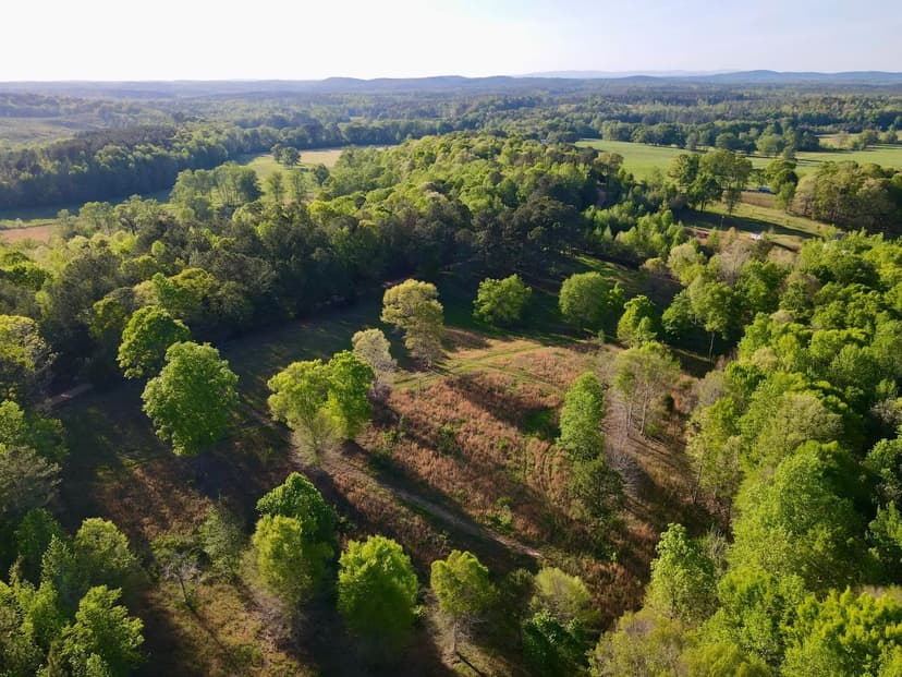 County Line Hunting & Homesite | 25 +/- Acres