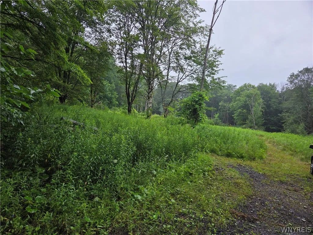 20.93 Acres of Land for Sale in Holland, NY - Holland, New York, 14080