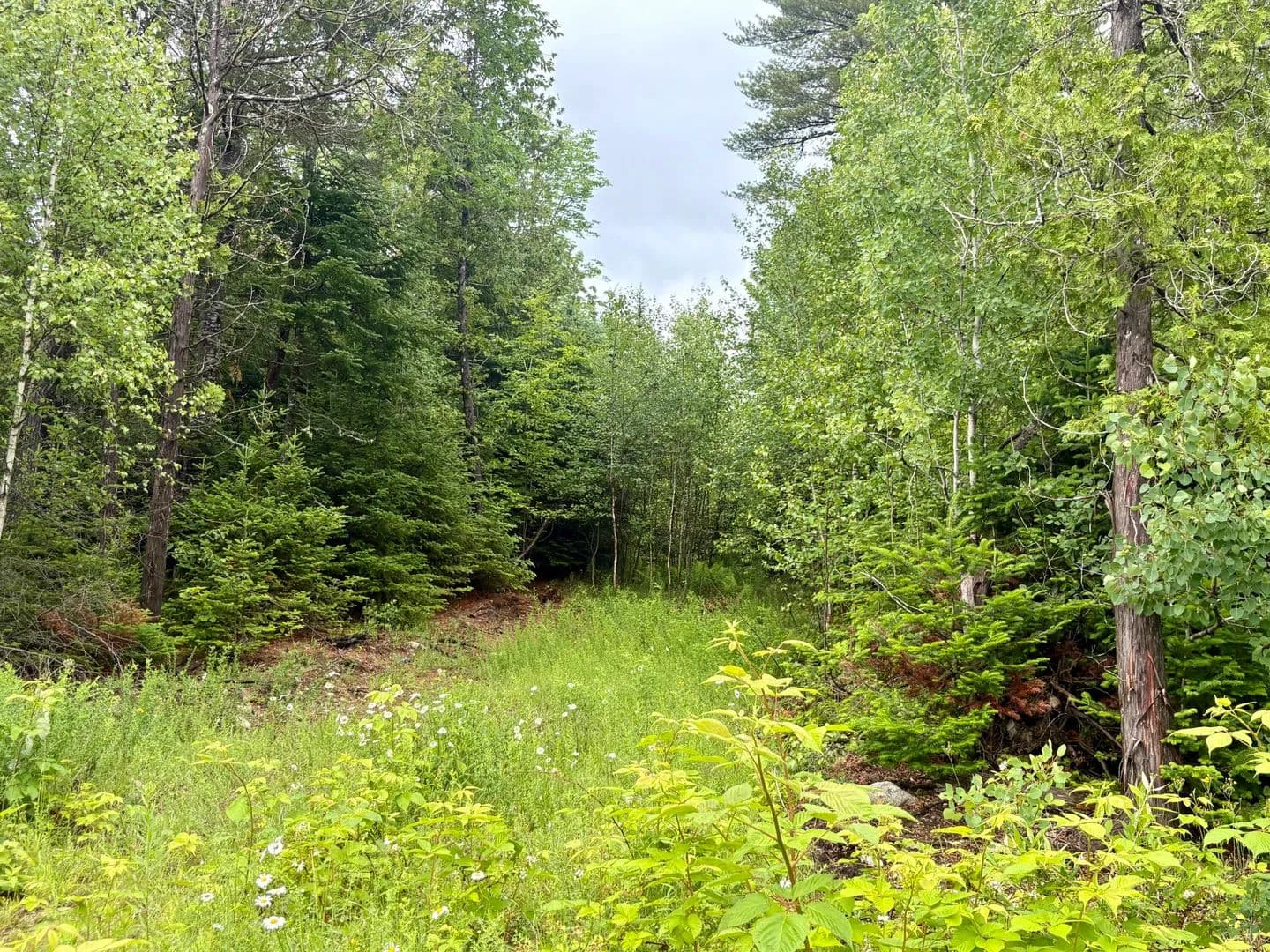 1.1 Acres of Land for Sale in Lee, ME - land for sale