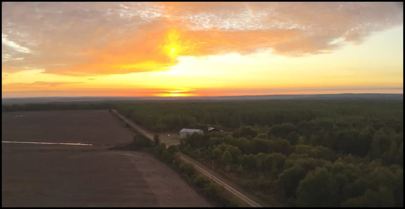 One Equity Share (Meadowbrook Timber Co.) on 916 Acres in Yazoo County in Satartia, MS