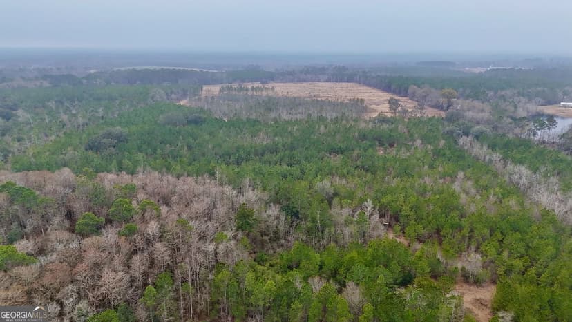 Property from 0 Edith Tillman Road - KW