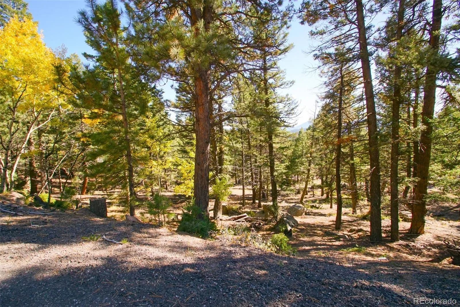 0.46 Acres of Land for Sale in Conifer, CO - Conifer, Colorado, 80433