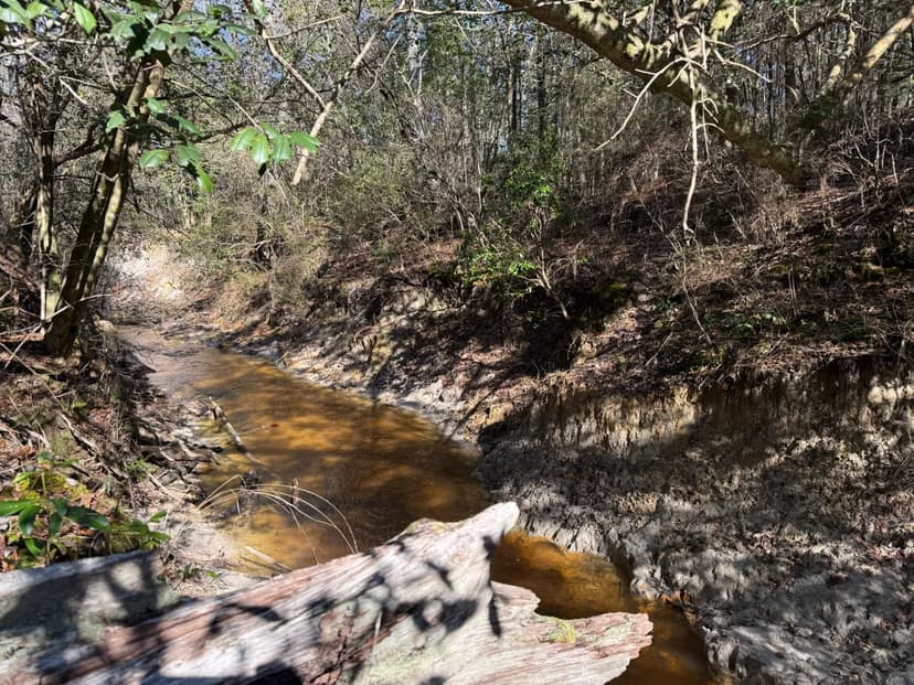 38 +/- Acres Indian Hill Road, Greene County (Sandhill Area)