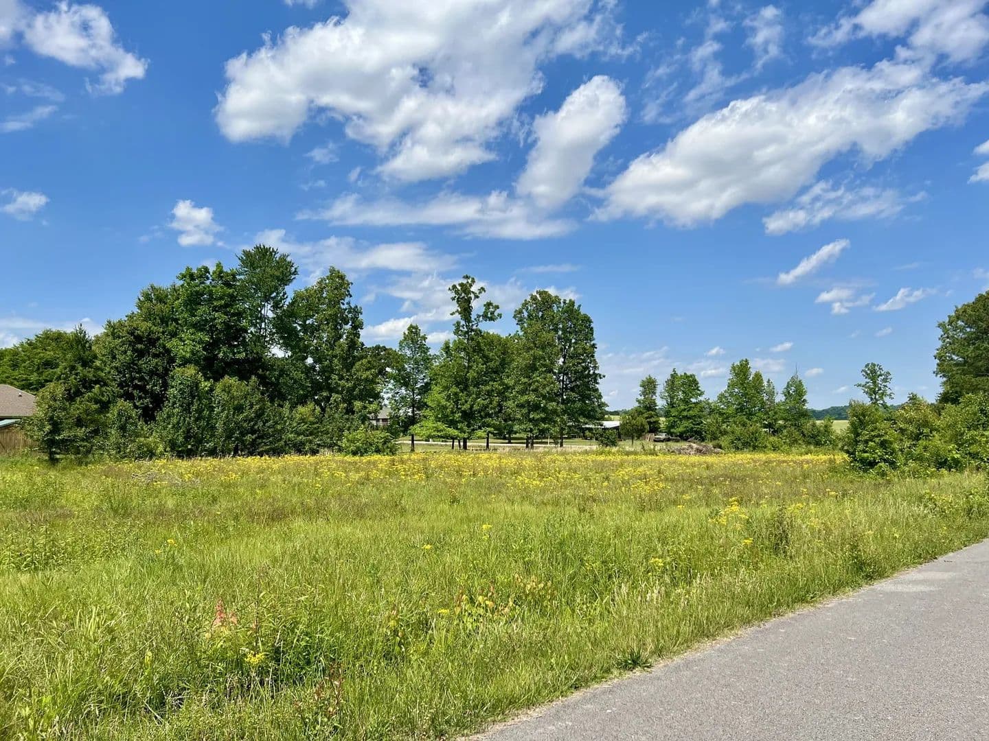 Vacant Land in Lawrenceburg - Lawrenceburg, Tennessee, 38464