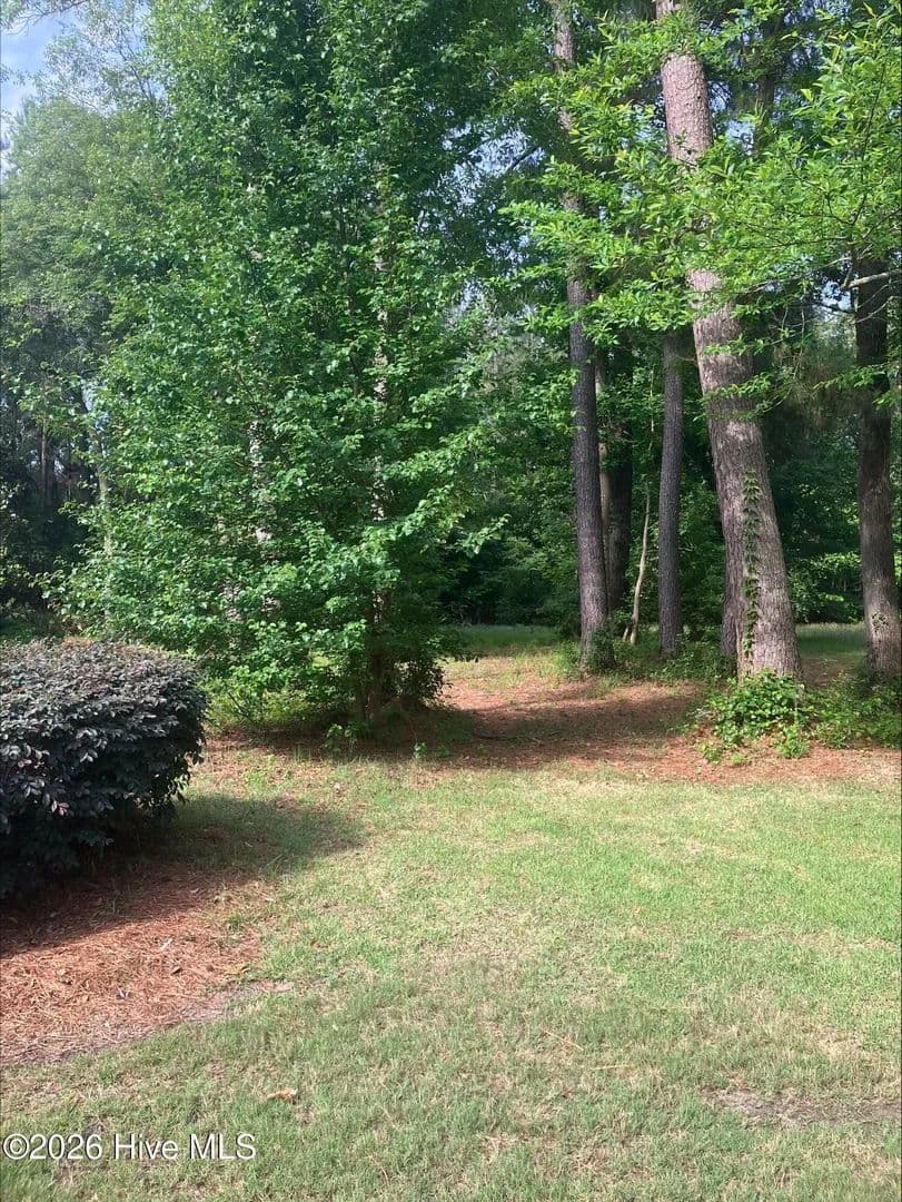 Vacant Land in Wallace - Wallace, North Carolina, 28466