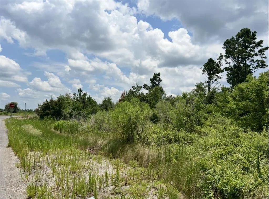 Vacant Land in Lake Charles - Lake Charles, Louisiana, 70605