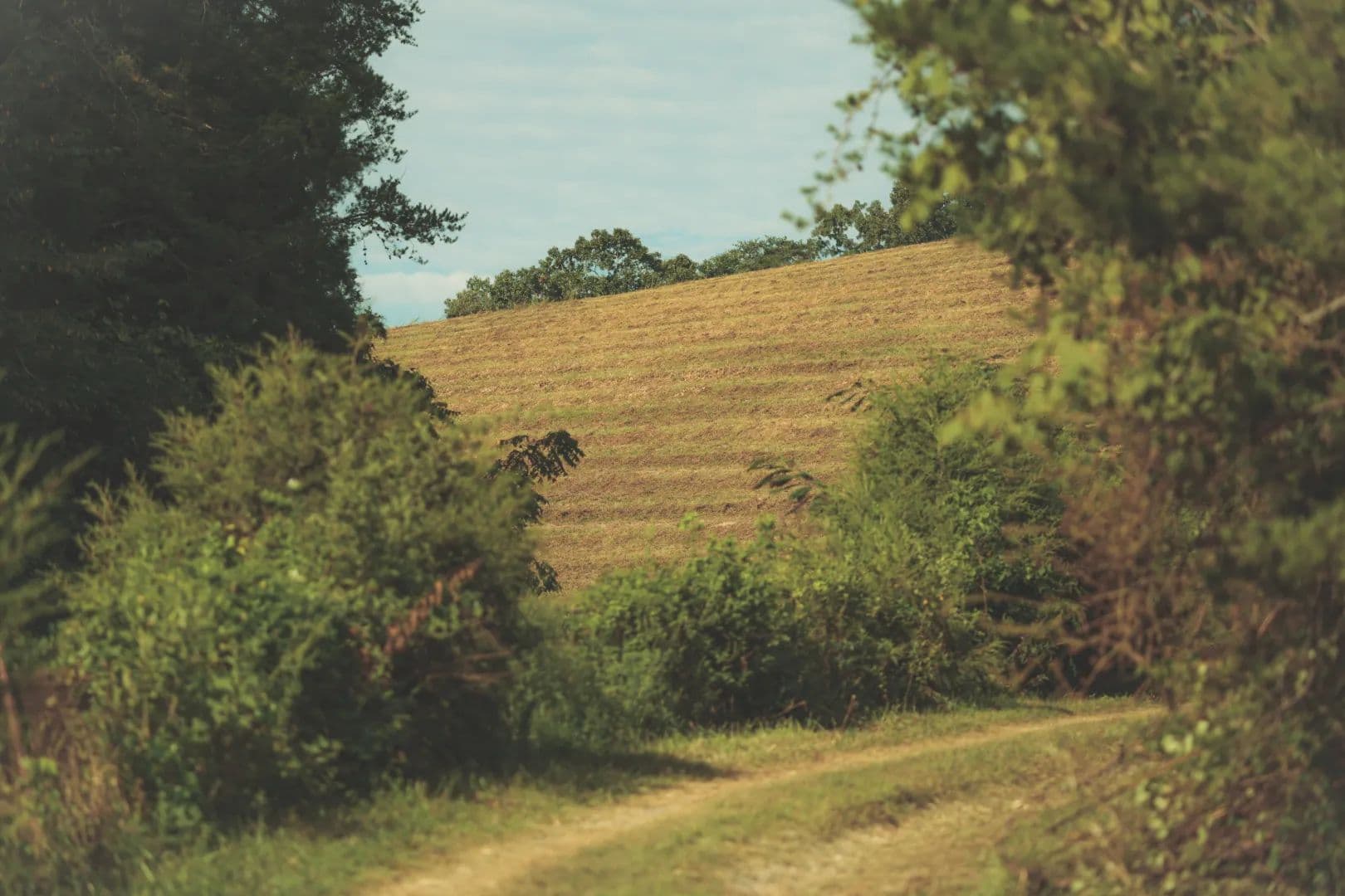 303 Acre Farm in Sevier County, TN  - Sevierville, Tennessee, 37876